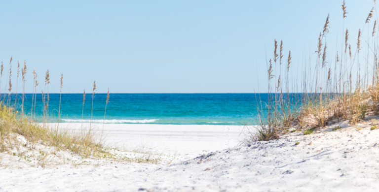 beach